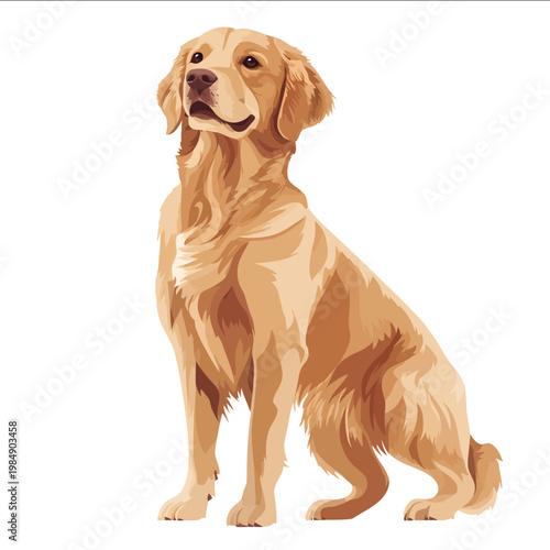 simple vector Golden Retriever clipart illustration white background vector art style simple design flat illustration no shadows