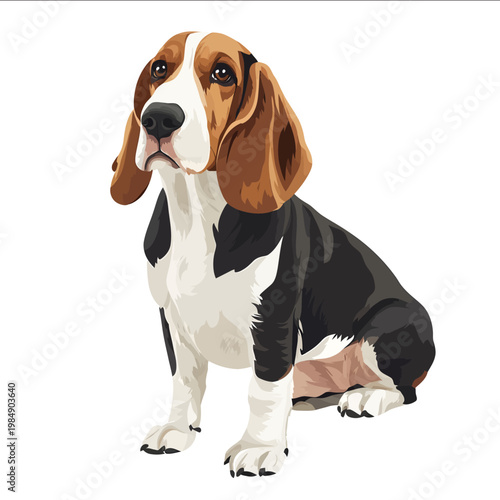 simple vector basset hound clipart illustration white background vector art style simple design flat illustration no shadows