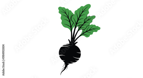 A graphic illustration of a beetroot with green leaves on a white background