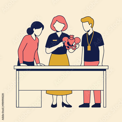 Medical Professionals Learning About Pelvis Anatomy Model