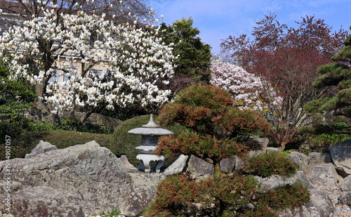Der Japangarten im Freiburger Seepark im Frühling