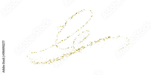 Elegant feather isolated on a white background with a light decorative and vector design style