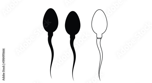 Three sperm cells depicted two solid and one outlined silhouette