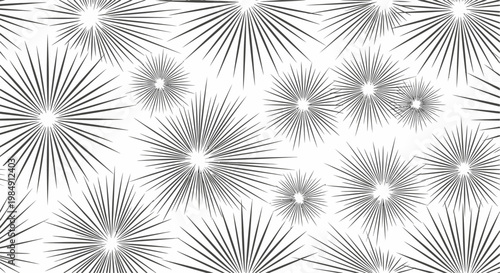 A black and white illustration of spiky floral patterns on a white background.