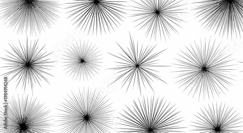 Black and white spiky floral pattern.