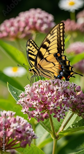 A vibrant yellow swallowtail butterfly rests on a cluster of pink wildflowers in soft sunlight