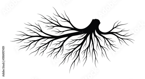 Abstract black silhouette of a tree branch against a white background