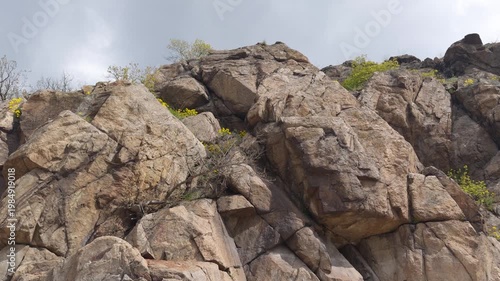 Massive granite boulders with spring flowers and greenery in the crevices