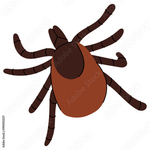 Tick Insect Close Up. Flat vector illustration of parasite tick isolated on background, symbol of Lyme disease and outdoor infection risk for medical and educational design.