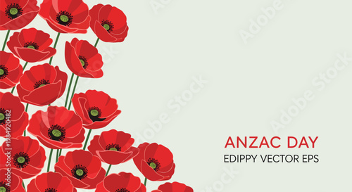 ANZAC Day, Australian poppy flowers, red floral border, vector EPS illustrations, commemorative design elements