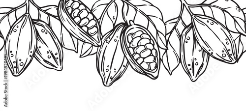 Seamless vector border with cocoa. line illustration in doodle