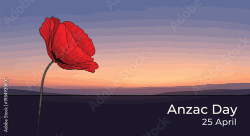 Anzac Day, poppy flower, red poppy, commemorative vector, Australian New Zealand remembrance