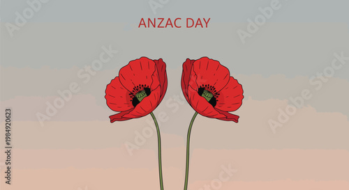 Anzac Day, red poppy flowers, memorial symbols, Australian New Zealand war remembrance
