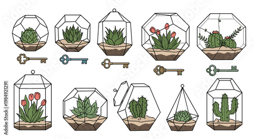 Collection of glass terrariums with various succulents, cacti, and flowers accompanied by vintage-style keys.