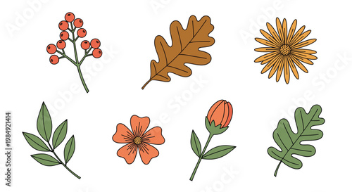 Set of autumn nature elements including various colored leaves berries and blooming flowers in warm earthy tones for fall designs.