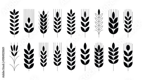 Keywords black and white feather set isolated on white background quill shaft plumage barbs