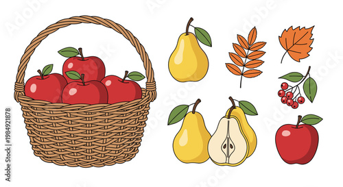 Wicker basket filled with red apples alongside pears, rowan berries, and autumn leaves on a white background.