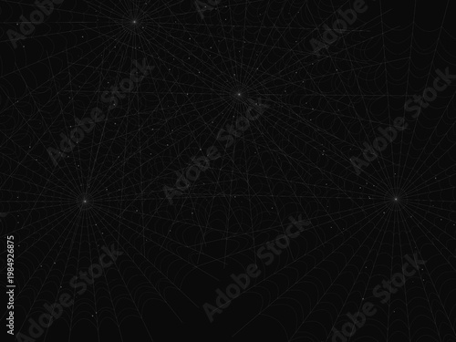 Cobweb Spider Silk Thread Geometric Pattern Design