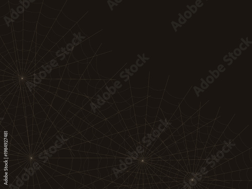 Radial Spider Web Cobweb Silk Thread Design