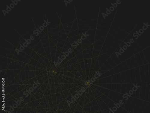 Gothic Spider Web Cobweb Pattern Nature Design Backdrop