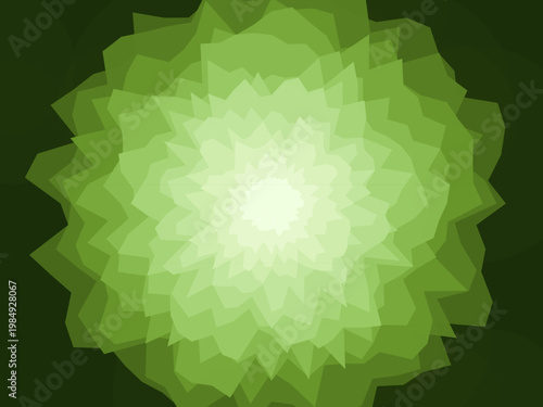 Natural Agate Geode Band Pattern Stone Design