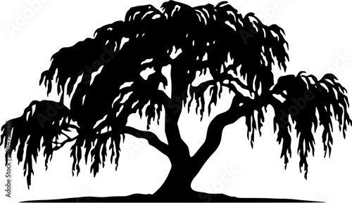 A highly detailed, photorealistic image of an ancient weeping Beech tree, its branches cascading to the ground like a waterfall, creating a massive and dramatic silhouette against a pure white