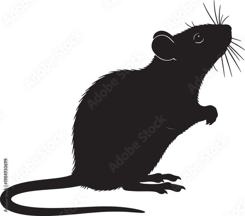 Black silhouette of a rat with detailed whiskers and fur texture, standing on hind legs also transparent background