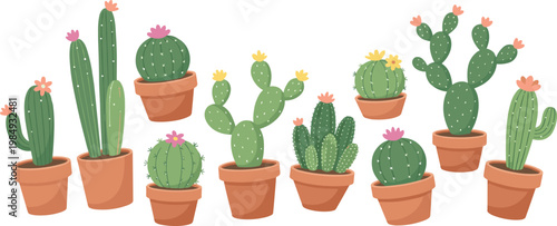Hand Drawn Cactus Collection with Potted Succulent Plants, Blooming Desert Flowers, and Various Shapes in Soft Flat Vector Illustration Style