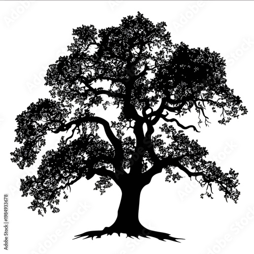 vector Oak tree silhouette black on white background simple shapes svg vector graphic