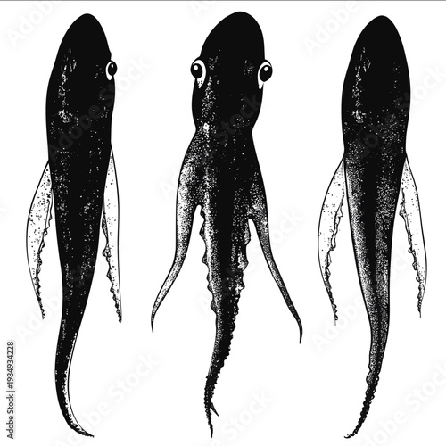 black silhouette squid on a white backgrounk vector