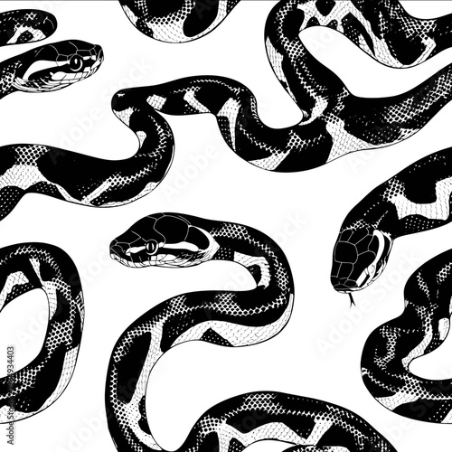vector boa constrictor silhouette black on white background simple shapes svg pattern