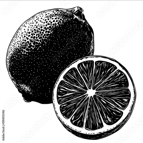 black silhouette lime on a white backgrounk vector