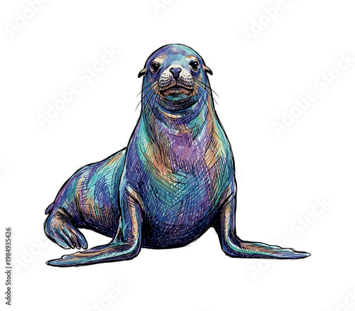 Vibrant, artistic illustration of a sea lion with colorful, textured fur