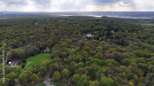 Tableau sur toile Epping Forest Aerial View Trees and Fields Essex