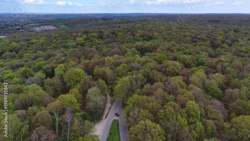 Photos Road Leading into Trees Epping Forest Aerial View Essex