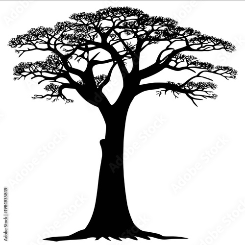vector Baobab tree silhouette black on white background simple shapes svg vector graphic