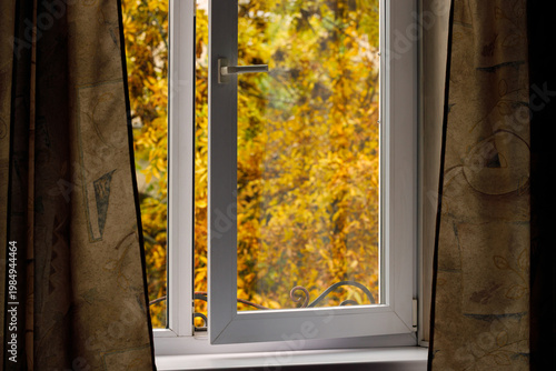 Quadro su tela interior window sill orange color background with October leaves outdoor view