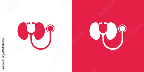 Medical illustration of kidneys and stethoscope healthcare concept.