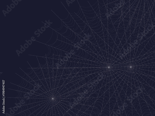 Gothic Spider Web Cobweb Pattern Nature Design Backdrop