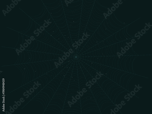 Delicate Spider Web Pattern Geometric Background