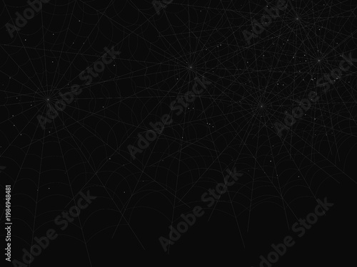 Gothic Spider Web Cobweb Pattern Nature Design Backdrop