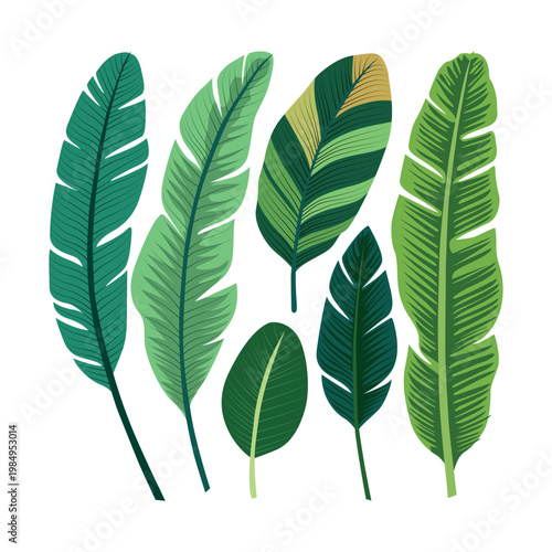 Some new colorful green banana leaf set for print 1.eps
