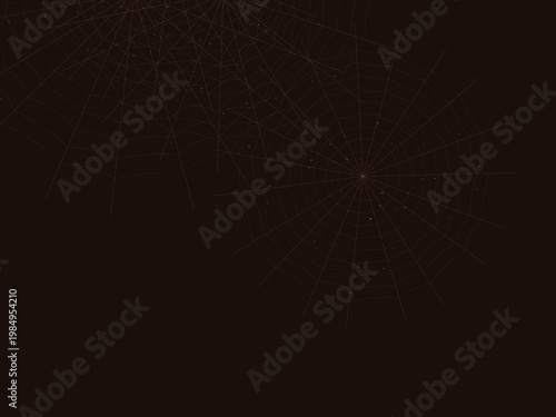 Gothic Spider Web Cobweb Pattern Nature Design Backdrop
