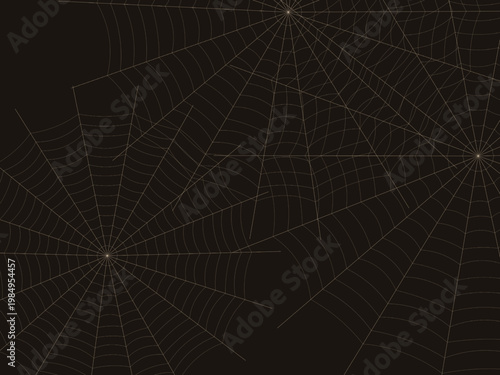 Cobweb Spider Silk Thread Geometric Pattern Design