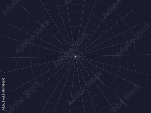 Spider Web Cobweb Silk Pattern Radial Background