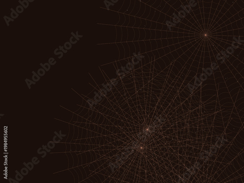 Spider Web Pattern Dew Drop Nature Background