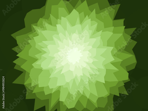 Natural Agate Geode Band Pattern Stone Design