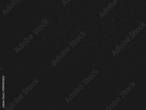 Spider Web Cobweb Silk Pattern Radial Background