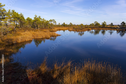 Autumn bog landscape with calm reflective water, Estonia