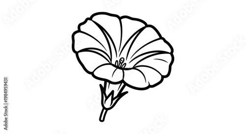 A black and white line drawing of a flower.